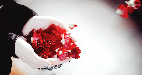 d69d2979.gif